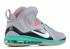 Lebron 9 PS Elite South Beach Pink Flash Grey Candy Green New Wolf Mint 516958-001