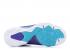 Nike Lebron 9 Gs Summit Lake Hornets Purple Blue Turquoise White 472664-500