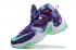 Nike LeBron 13 EP NikeId 25K Purple Flower Green Basketball Shoes 823301