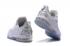 2016 Nike Lebron XIII Low EP 13 James Men Basketball Sneakers Shoes White Silver 831926-100