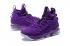 Nike Zoom Lebron XV 15 Men Basketball Shoes Deep Purple All Special